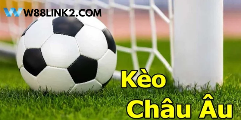 Hướng dẫn chi tiết cách đọc kèo bóng đá Châu Âu cho tân binh