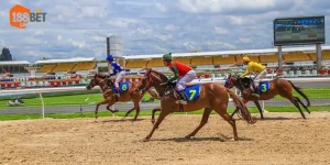 Mẹo Cá Cược Đua Ngựa Bắt Kèo Hiệu Quả Tại 188BET