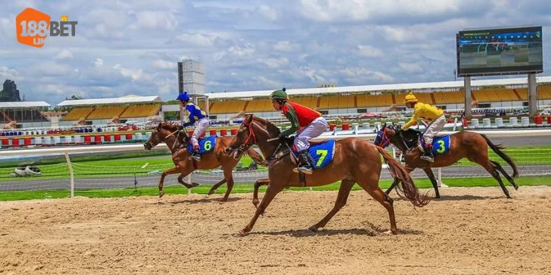 Mẹo Cá Cược Đua Ngựa Bắt Kèo Hiệu Quả Tại 188BET