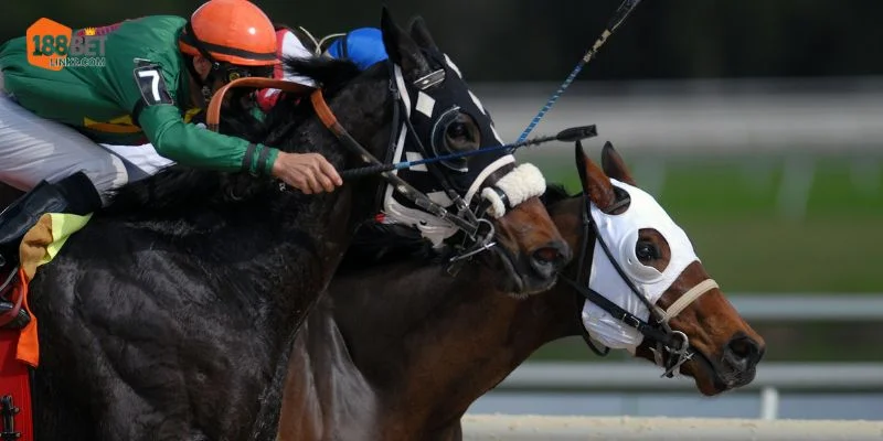 Trường đua ngựa tại 188BET luôn tấp nập với hàng nghìn kèo cược. 